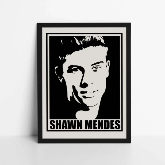 Shawn Mendes silhouette Poster