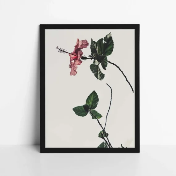 Red Flower Poster