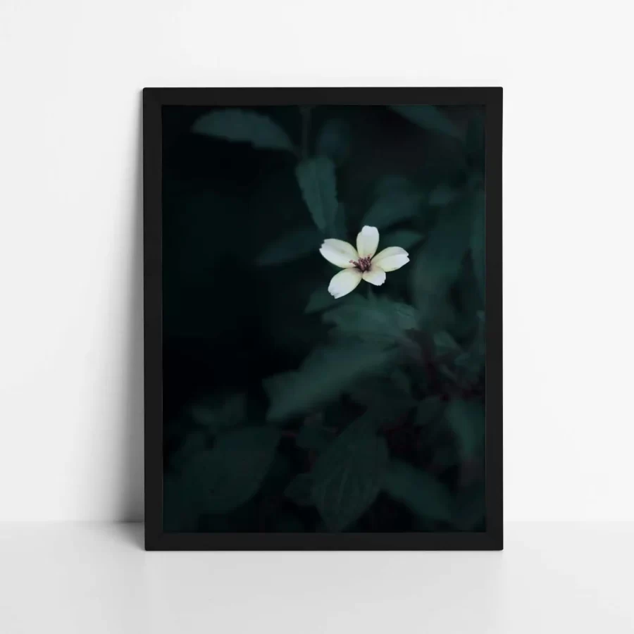 Aesthetic Flower Poster