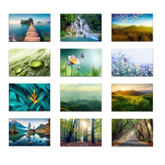 Nature Set of 12 PhotoCards
