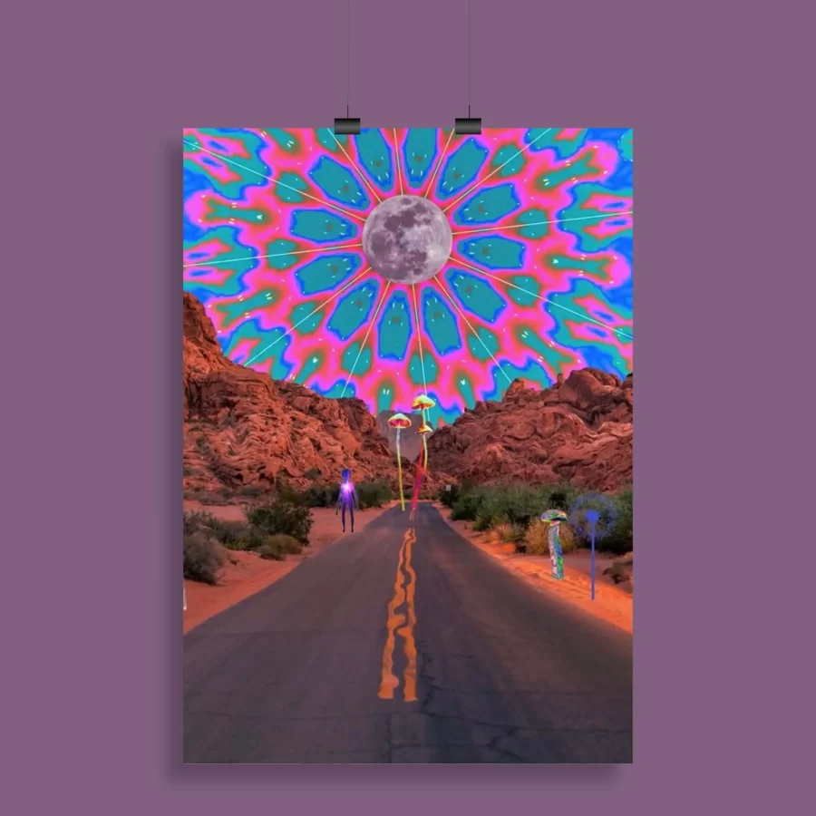 Psychedelic Trippy Aesthetic Wall Poster