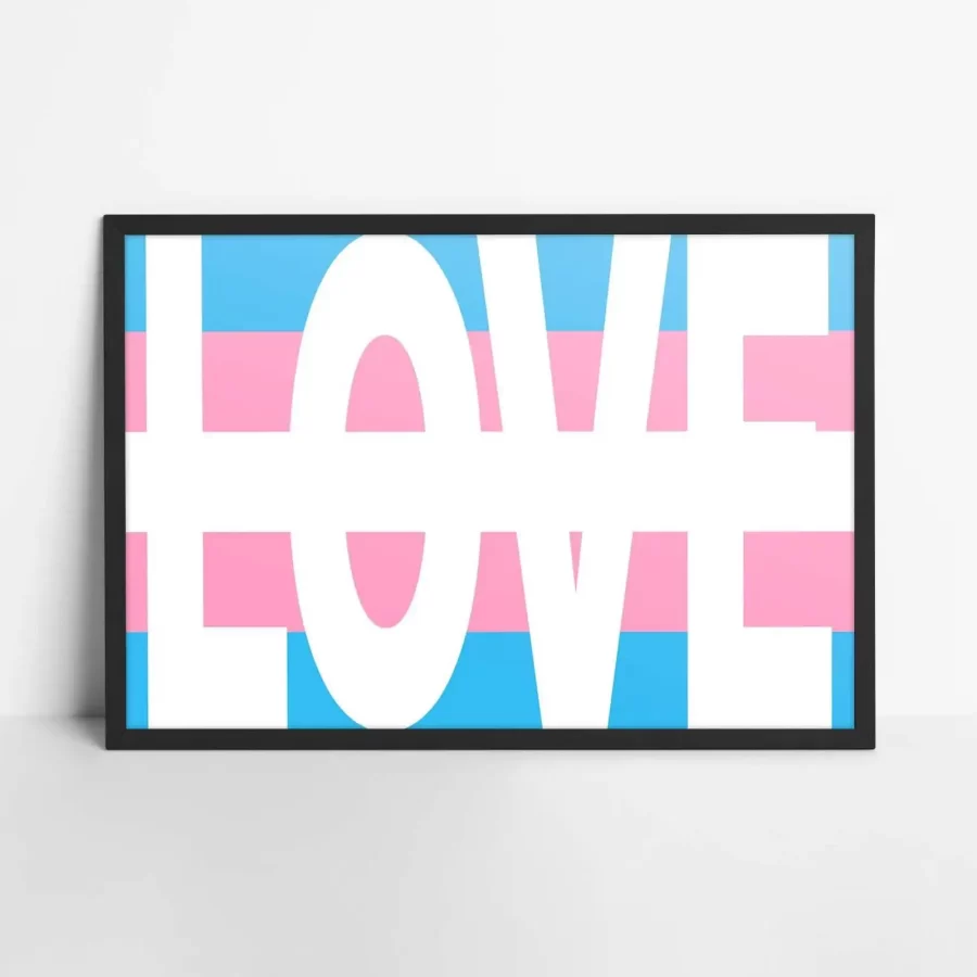 Transgender flag with love text Poster