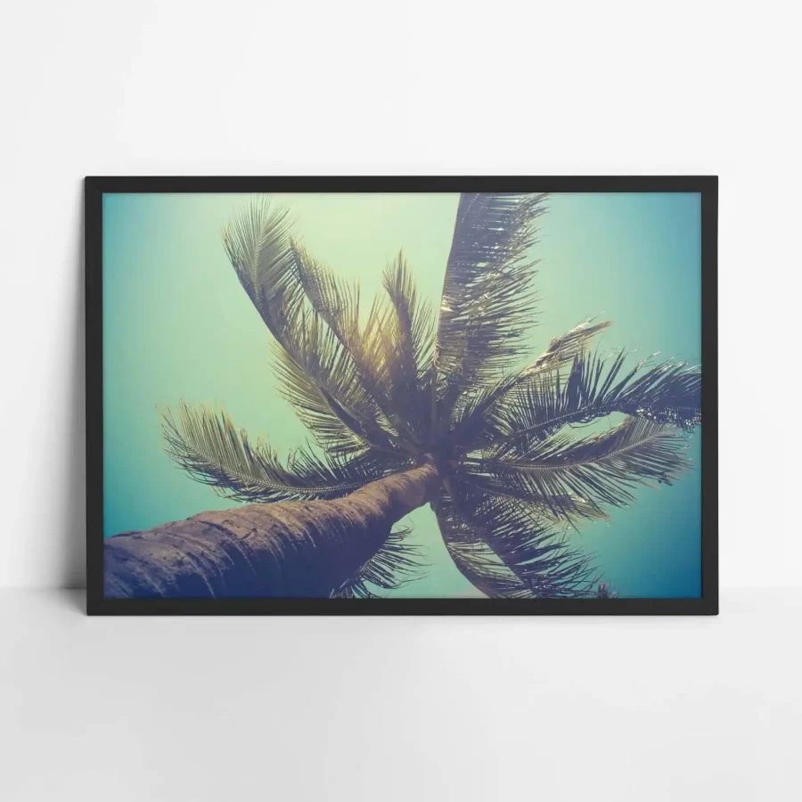 Retro Filtered Single Palm Tree In Hawaii Poster