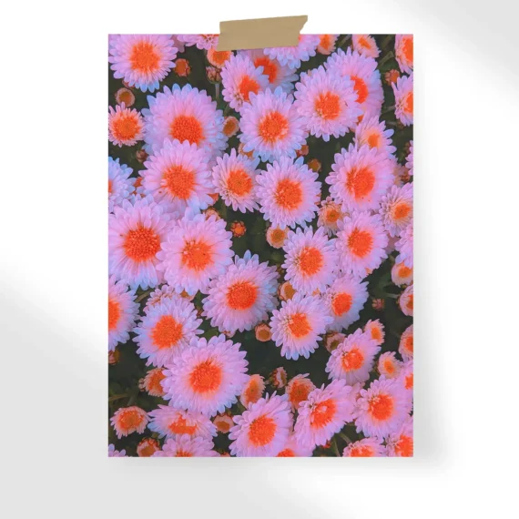 White Flowers Pink Aesthetic Poster