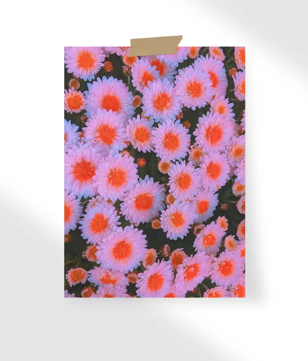 White Flowers Pink Aesthetic Poster