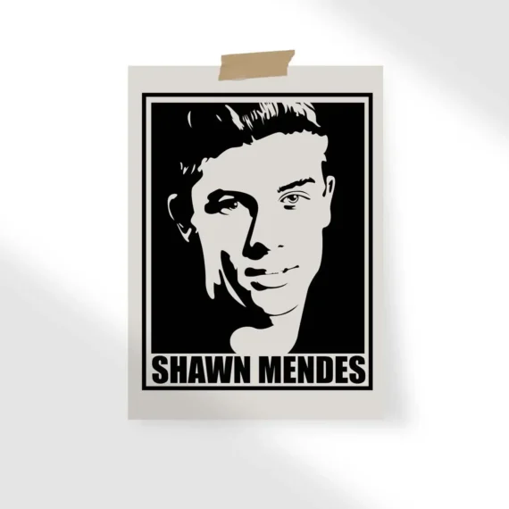 Shawn Mendes silhouette Poster