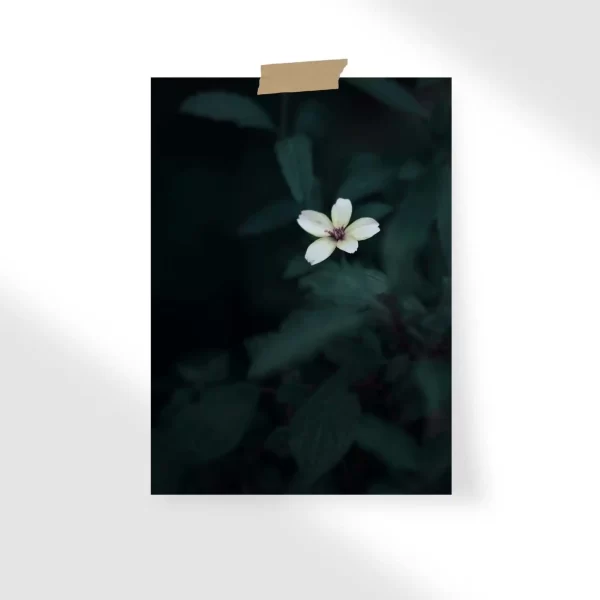 Aesthetic Flower Poster