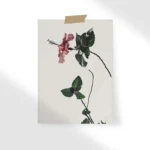 Red Flower Poster