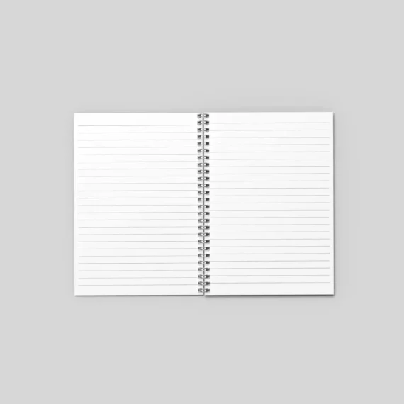 Fine Line Harry Styles Notebook
