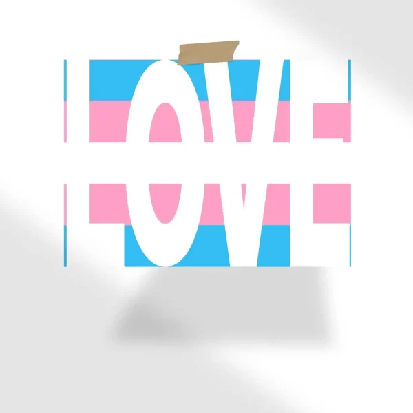 Transgender flag with love text Poster