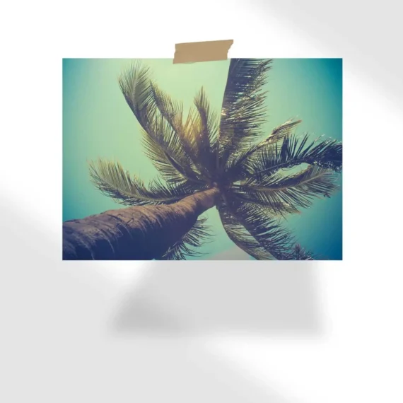 Retro Filtered Single Palm Tree In Hawaii Poster