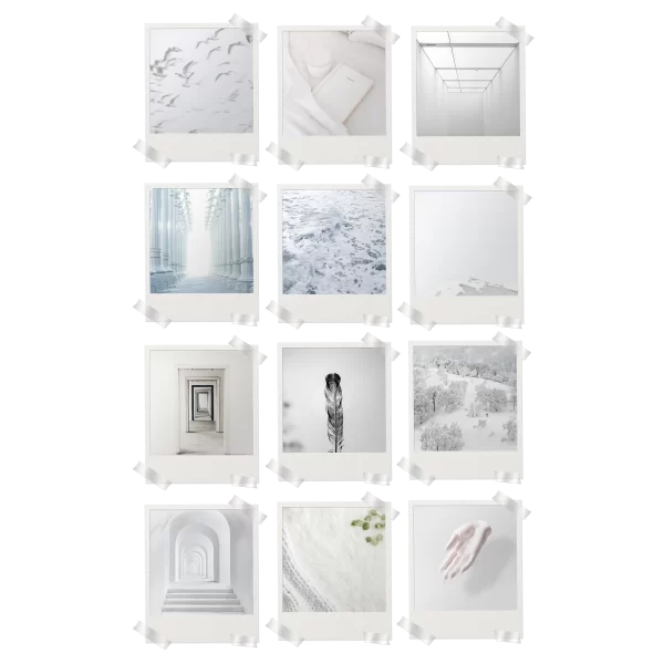 White Polaroids Set of 12