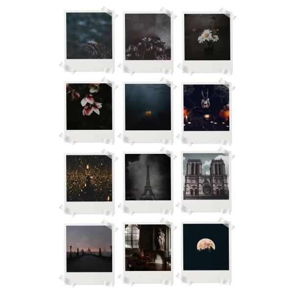 Dark Academia Polaroids Set of 12