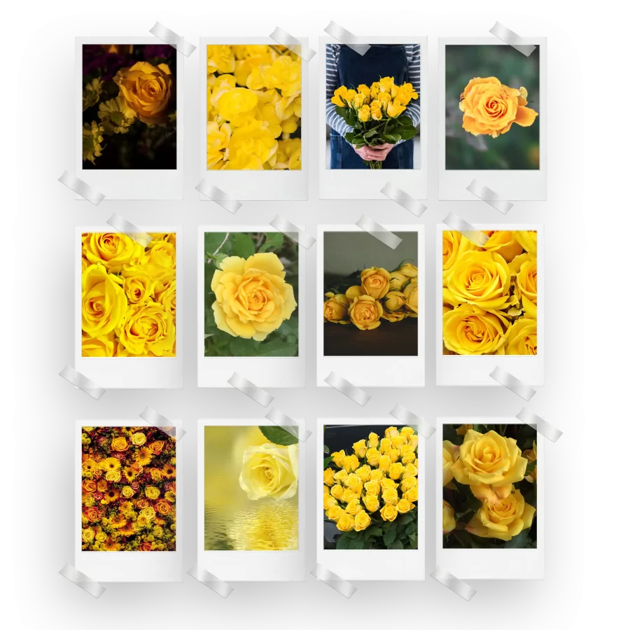 Yellow Roses Polaroids Set of 12