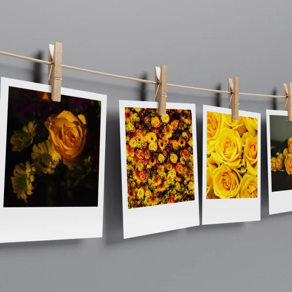 Yellow Roses Prints Set of 12