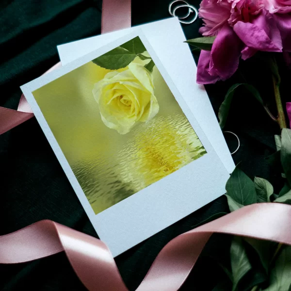 Yellow Roses Prints Set of 12