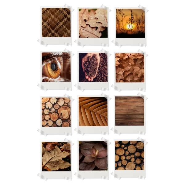 Brown Aesthetic Polaroids Pack of 12