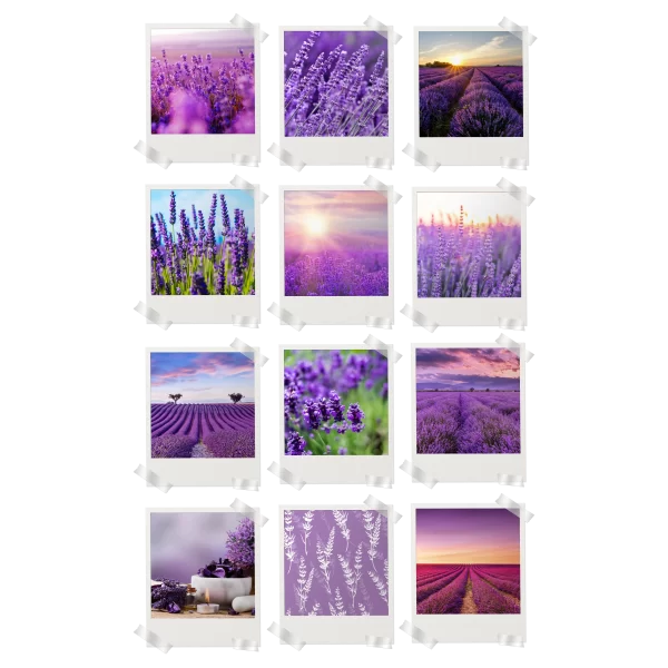 Lavender Aesthetics Polaroids Pack of 12