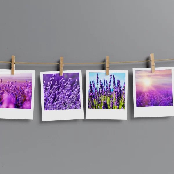 Lavender Aesthetics Polaroids Pack of 12