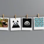 Panda Polaroids Pack of 12