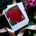 Red Roses Polaroids Set of 12