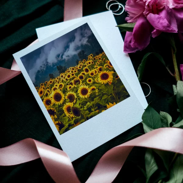 Sunflowers Polaroids Set of 12