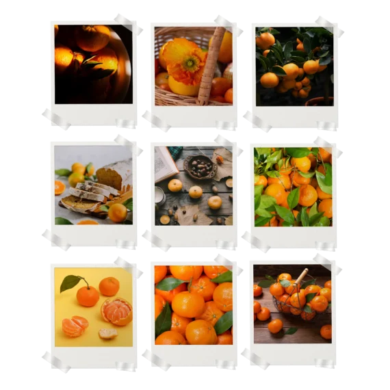 Tangerine Aesthetic Polaroids Set of 9