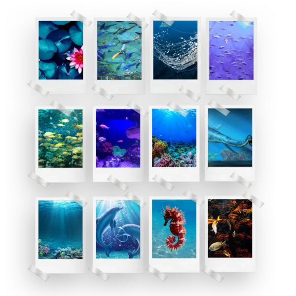 Aquatic Polaroids Set of 12