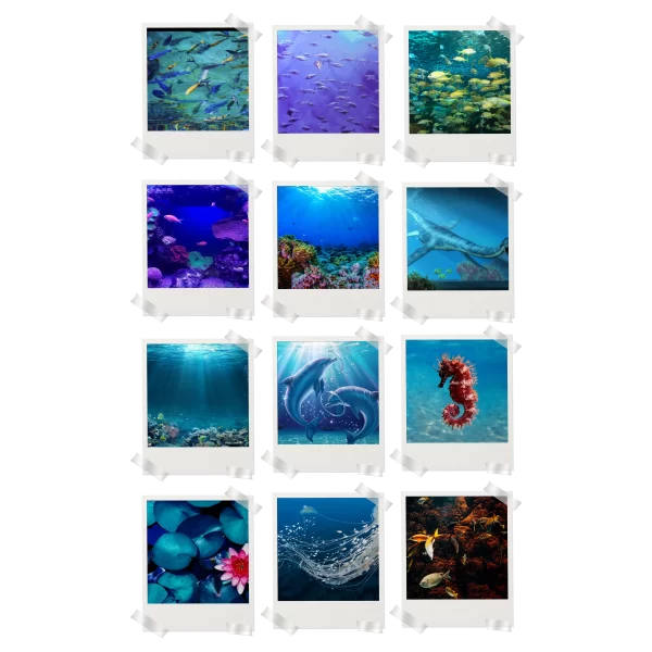 Aquatic Polaroids Set of 12