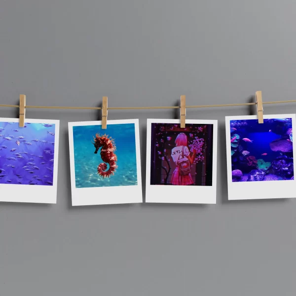 Aquatic Polaroids Set of 12