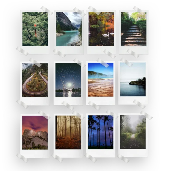 Nature Polaroids Set of 12