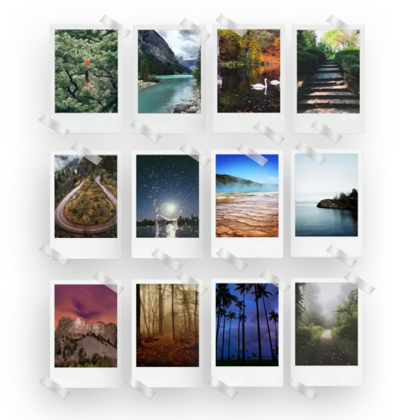 Nature Prints Set of 12