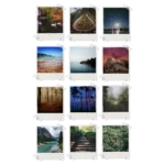 Nature Polaroids Set of 12