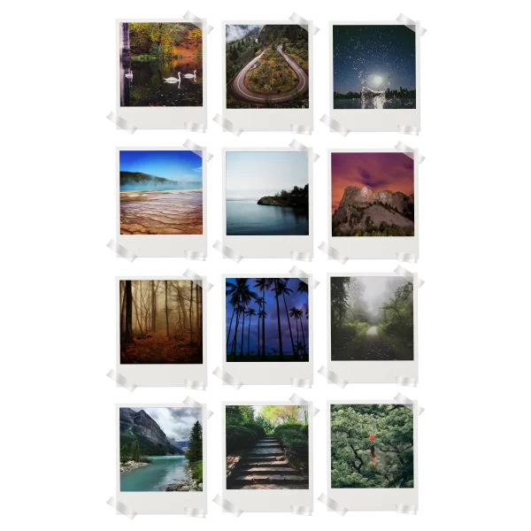 Nature Prints Set of 12