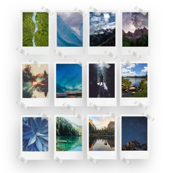 Nature Prints Set of 12