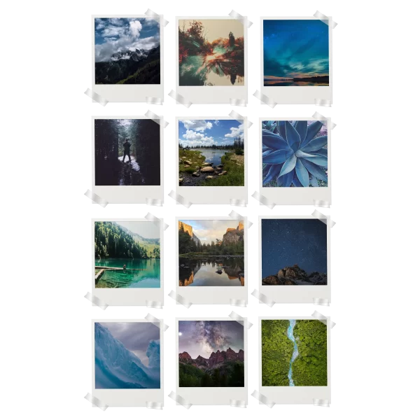 Nature Prints Set of 12