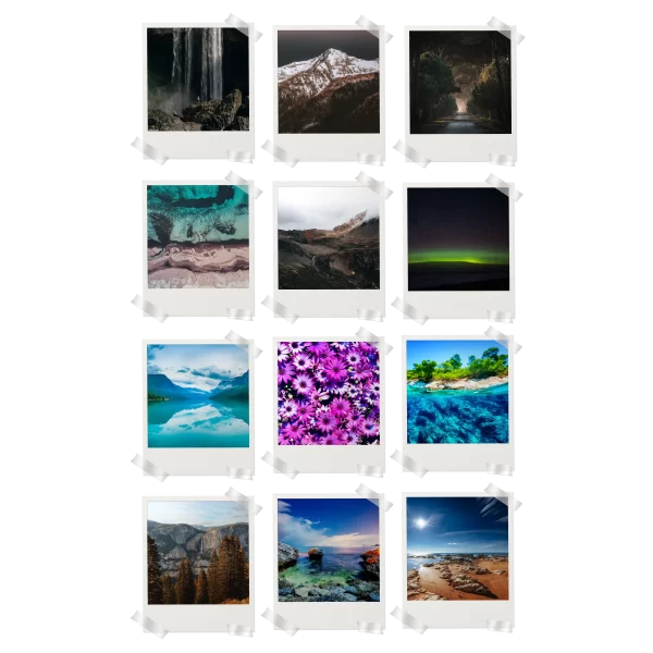 Nature Polaroids Set of 12