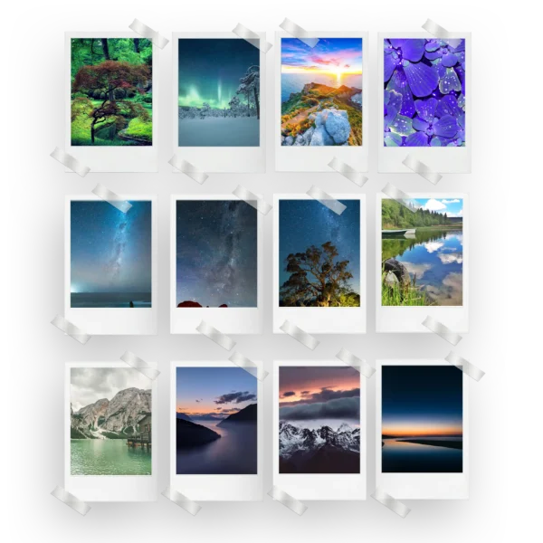 Nature Prints Set of 12