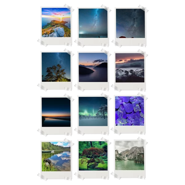 Nature Prints Set of 12