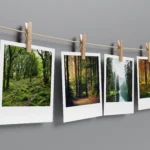 Forest Polaroids Set of 10