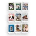 Puppies Polaroids Set of 9