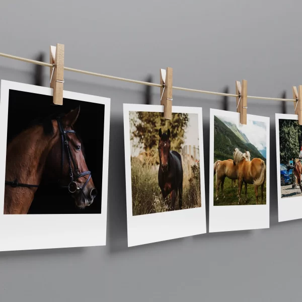 Horses Polaroids Set of 10