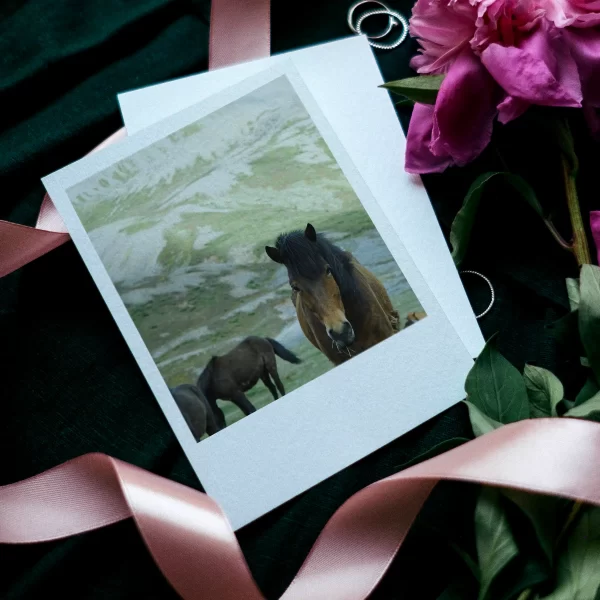 Horses Polaroids Set of 10