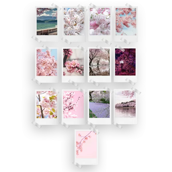 Cherry Blossom Prints Set of 13