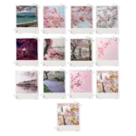Cherry Blossom Polaroids Set of 13