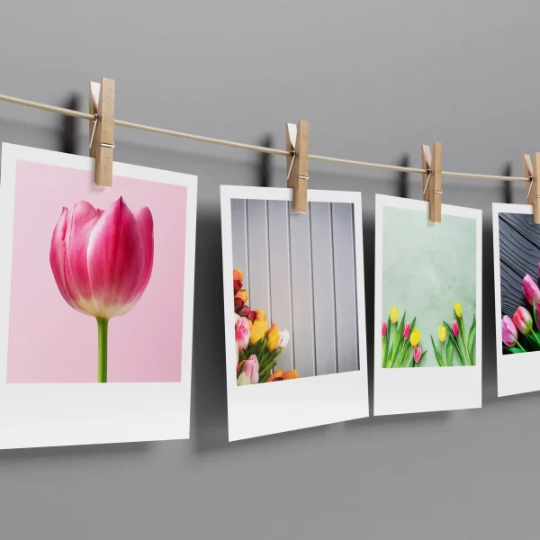 Tulips Polaroids Set of 15