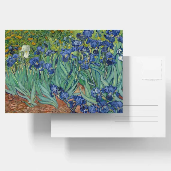 Irises Painting Postcard - Set of 9