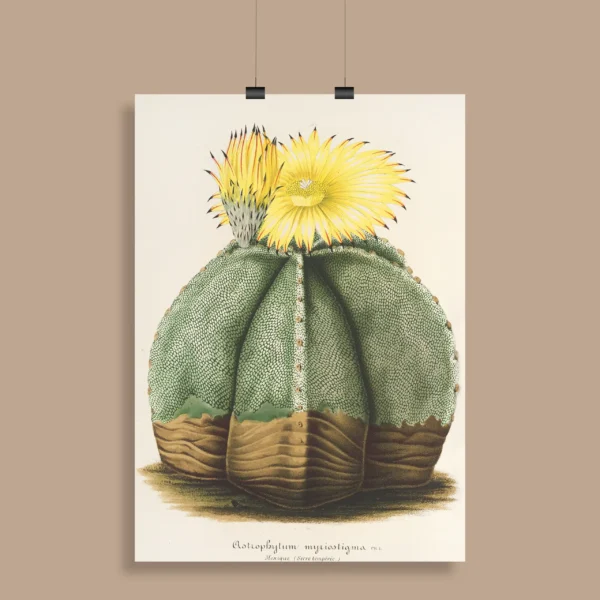 Vintage Botanical Wall Poster