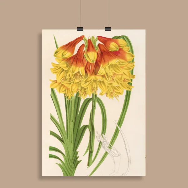 Vintage Botanical Wall Poster