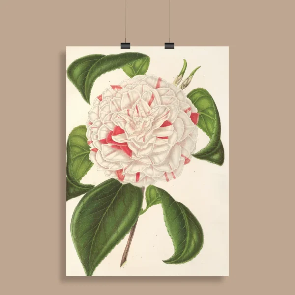 Vintage Botanical Wall Poster